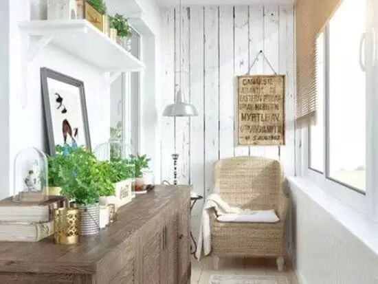 陽臺種什么植物比較好？植物風水有哪些禁忌？